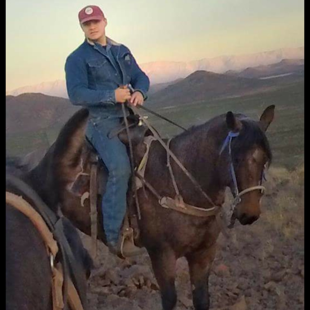 Meet your Posher, Sergio